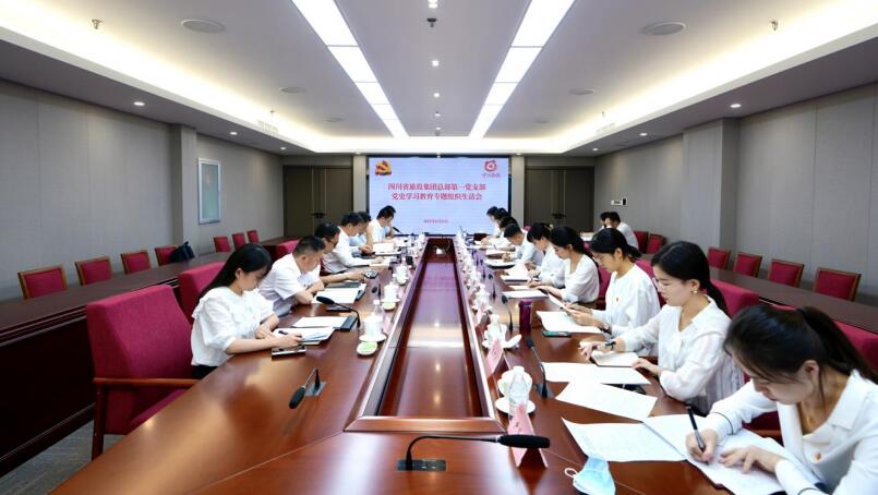 尊龙凯时集团党委书记、董事长任丁参加总部第一党支部党史学习教育专题组织生活会