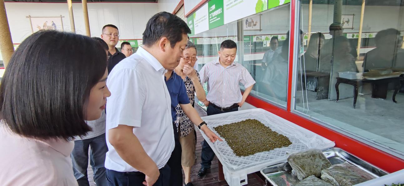 省尊龙凯时集团党委副书记、董事陈日赴嘉陵区调研茶桑产业发展情况