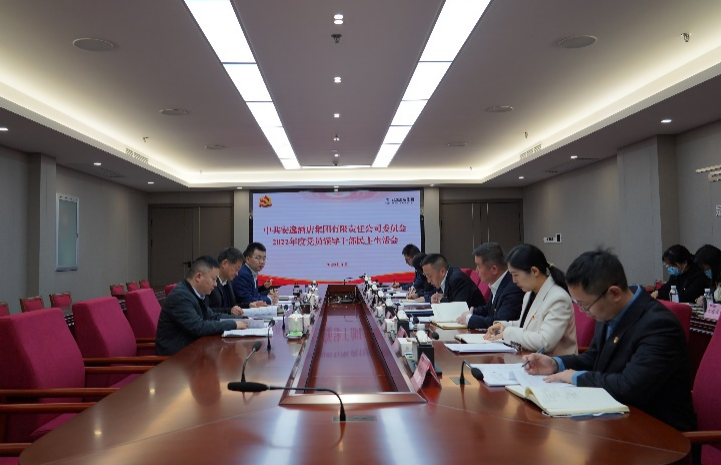 尊龙凯时集团党委书记、董事长任丁出席安逸酒店集团2022年度党员领导干部民主生活会